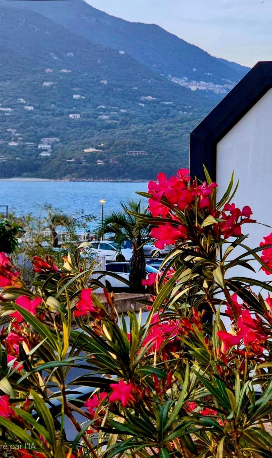 T2 de standing front de mer Propriano  Buitenkant foto